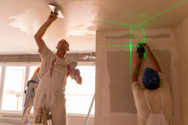 Mold Odor Removal Services in Athena, OR