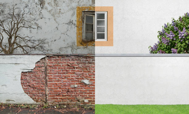 Athena, OR Mold Removal Company